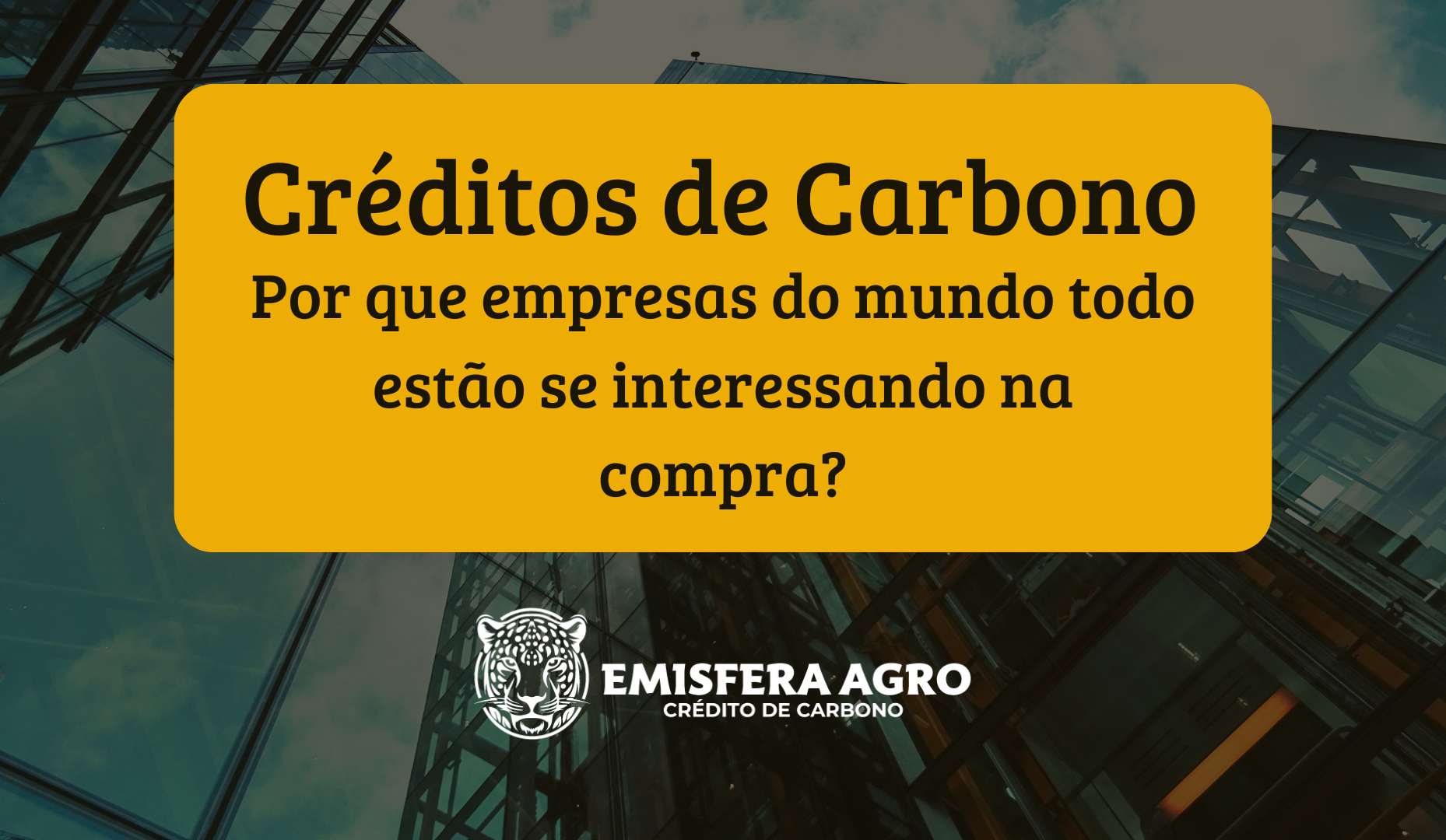 Como calcular o retorno financeiro de um projeto de Créditos de Carbono antes de começar?