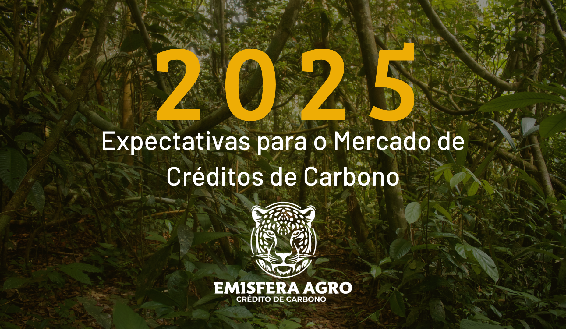 A Nova Era da Verra: o que veremos daqui pra frente?
