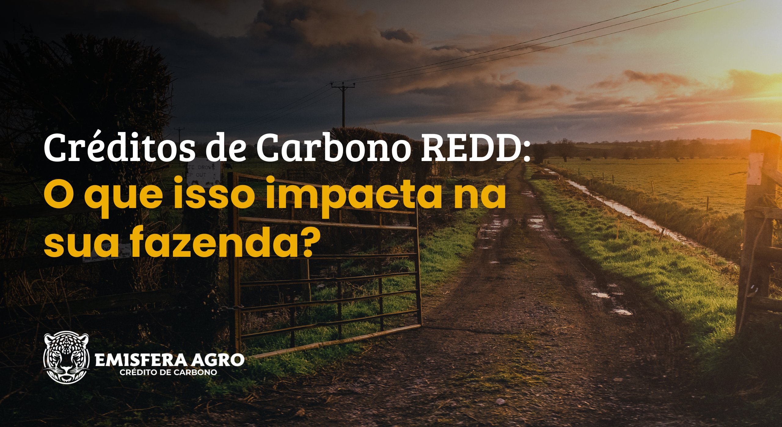 Créditos de Carbono REDD: o que isso impacta na sua fazenda?