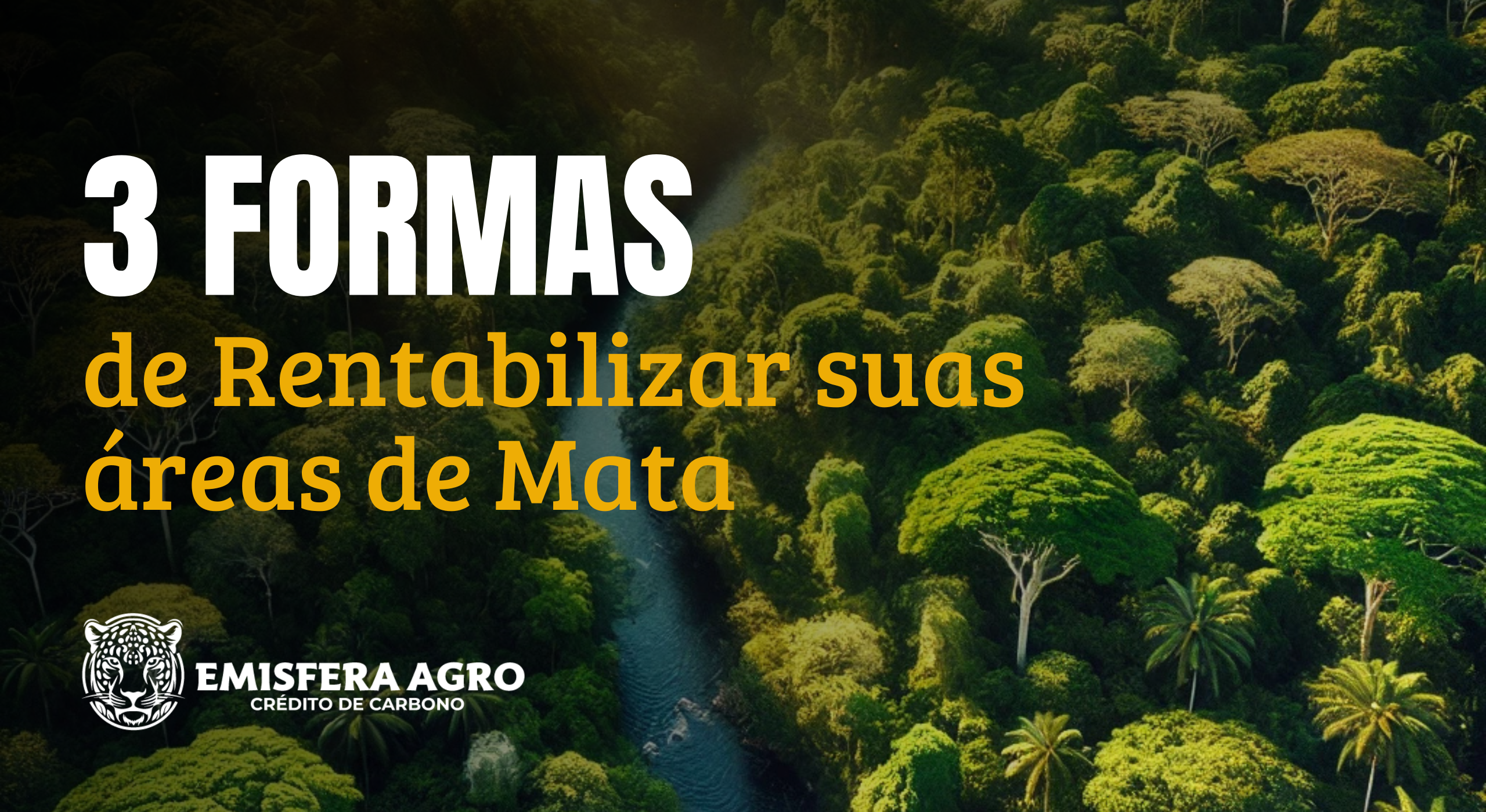 Ganhe Dinheiro Mantendo a Floresta em Pé: 3 Formas de Rentabilizar Suas Áreas de Mata