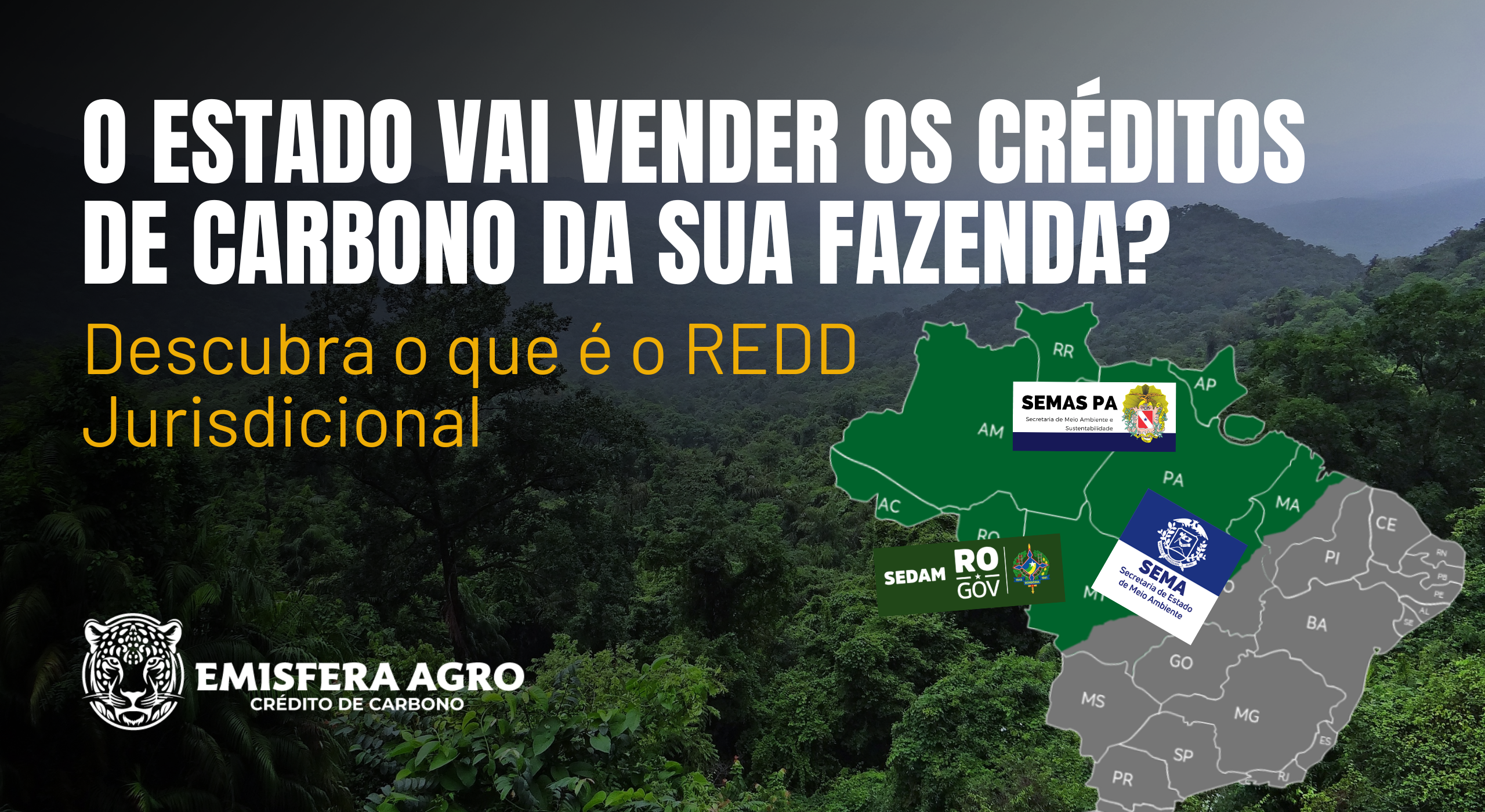 O Estado Vai Vender os Créditos de Carbono da Sua Fazenda? Descubra o que é o REDD Jurisdicional