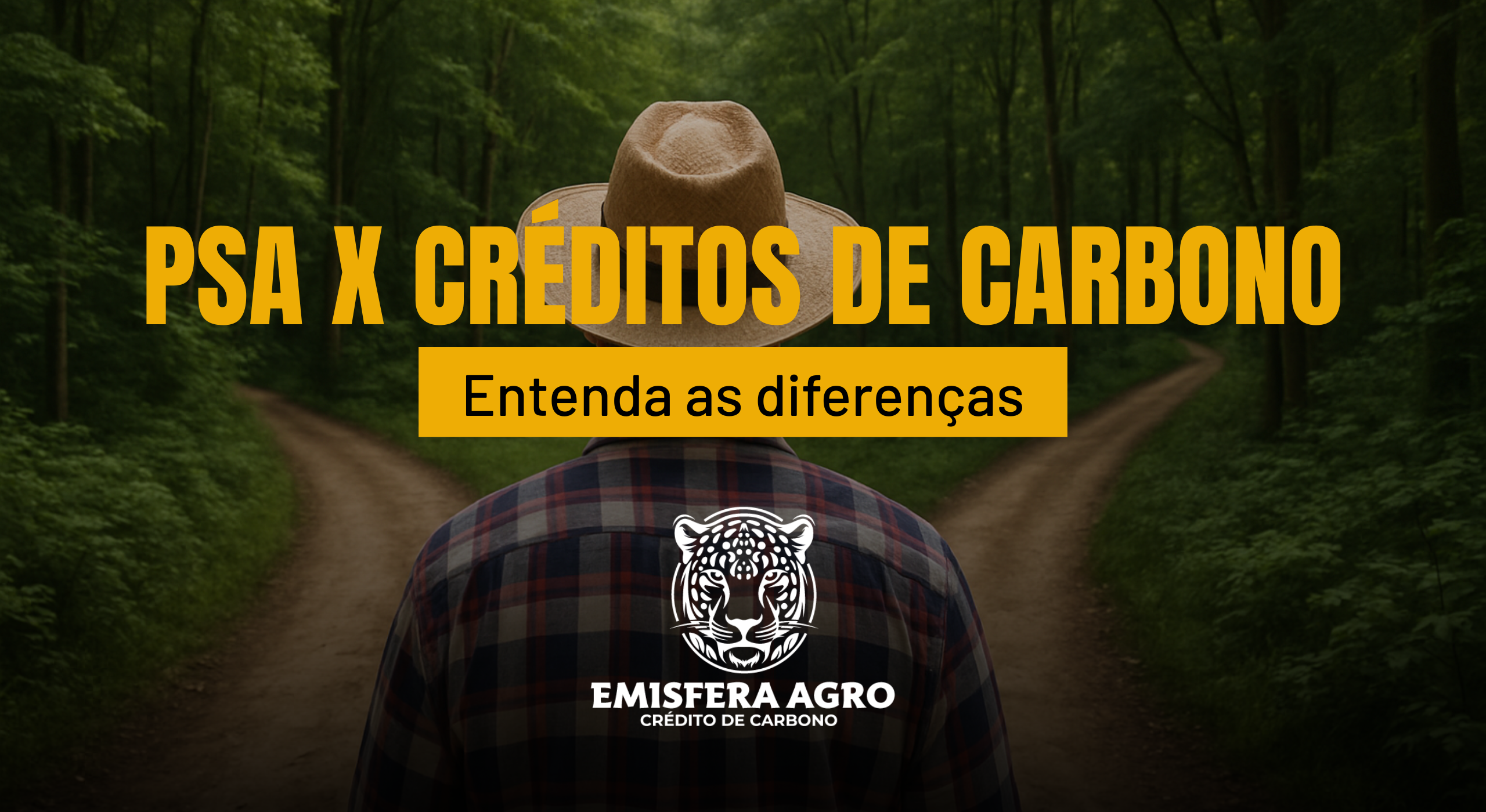 Pagamentos por Serviços Ambientais x Créditos de Carbono: entenda as diferenças