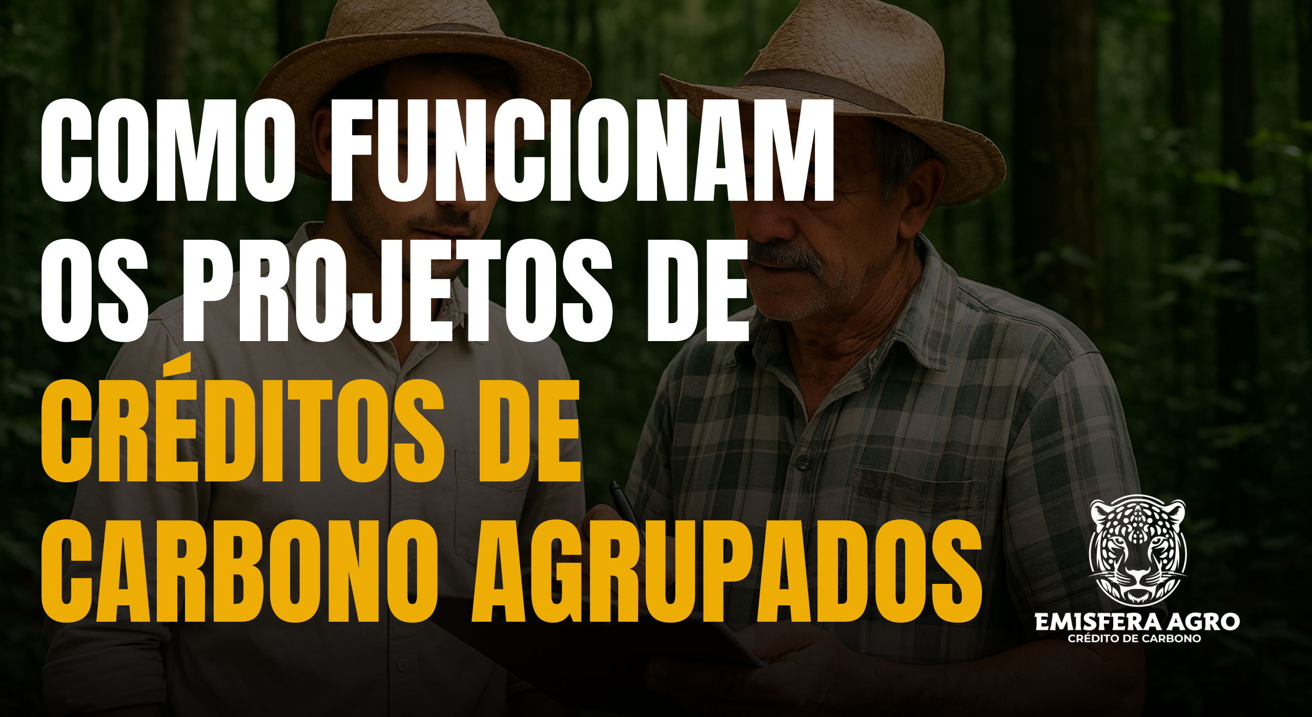 Como funcionam Projetos Agrupados de Créditos de Carbono?