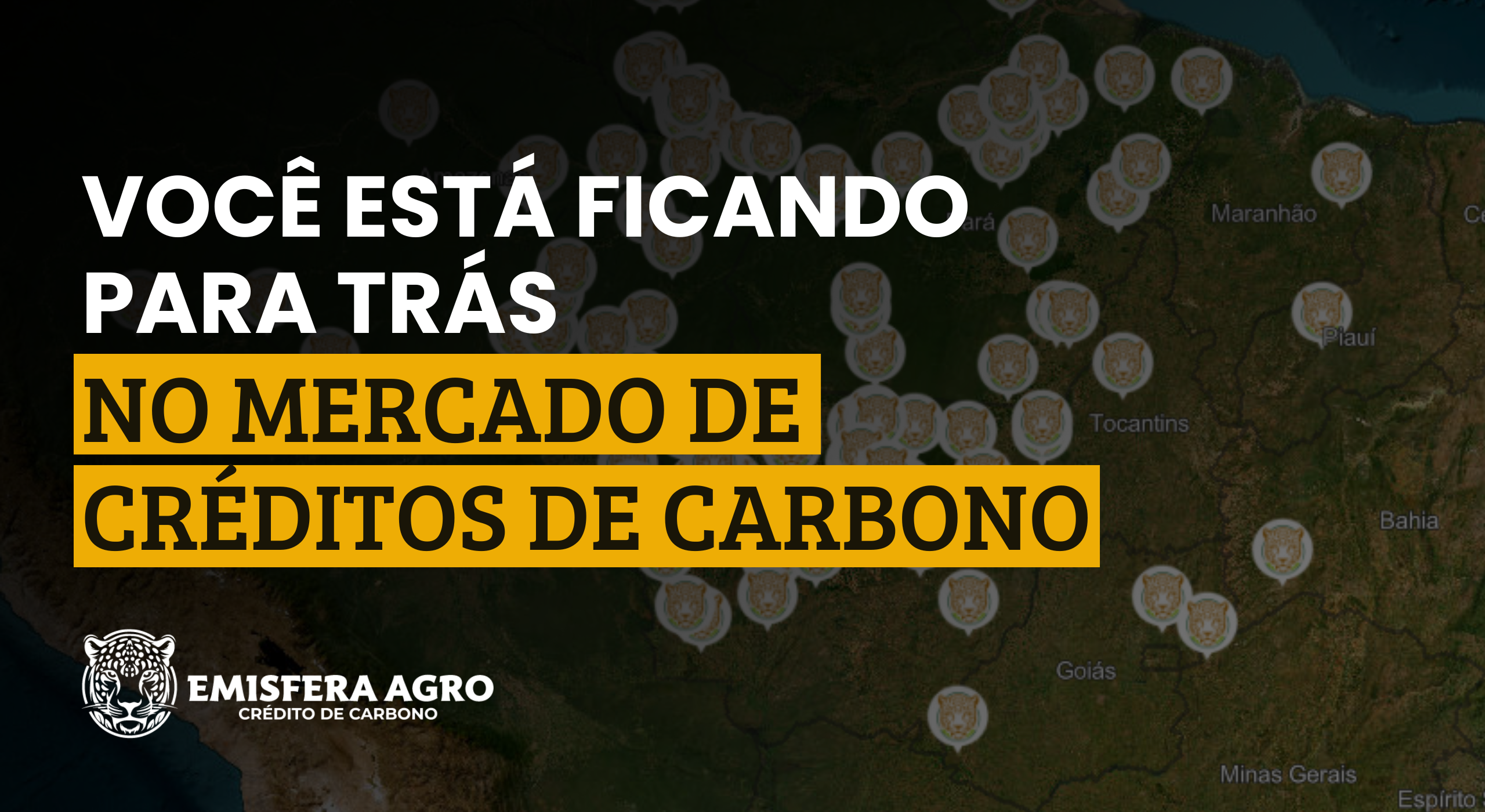 Por que Você Está Ficando para Trás no Mercado de Créditos de Carbono?