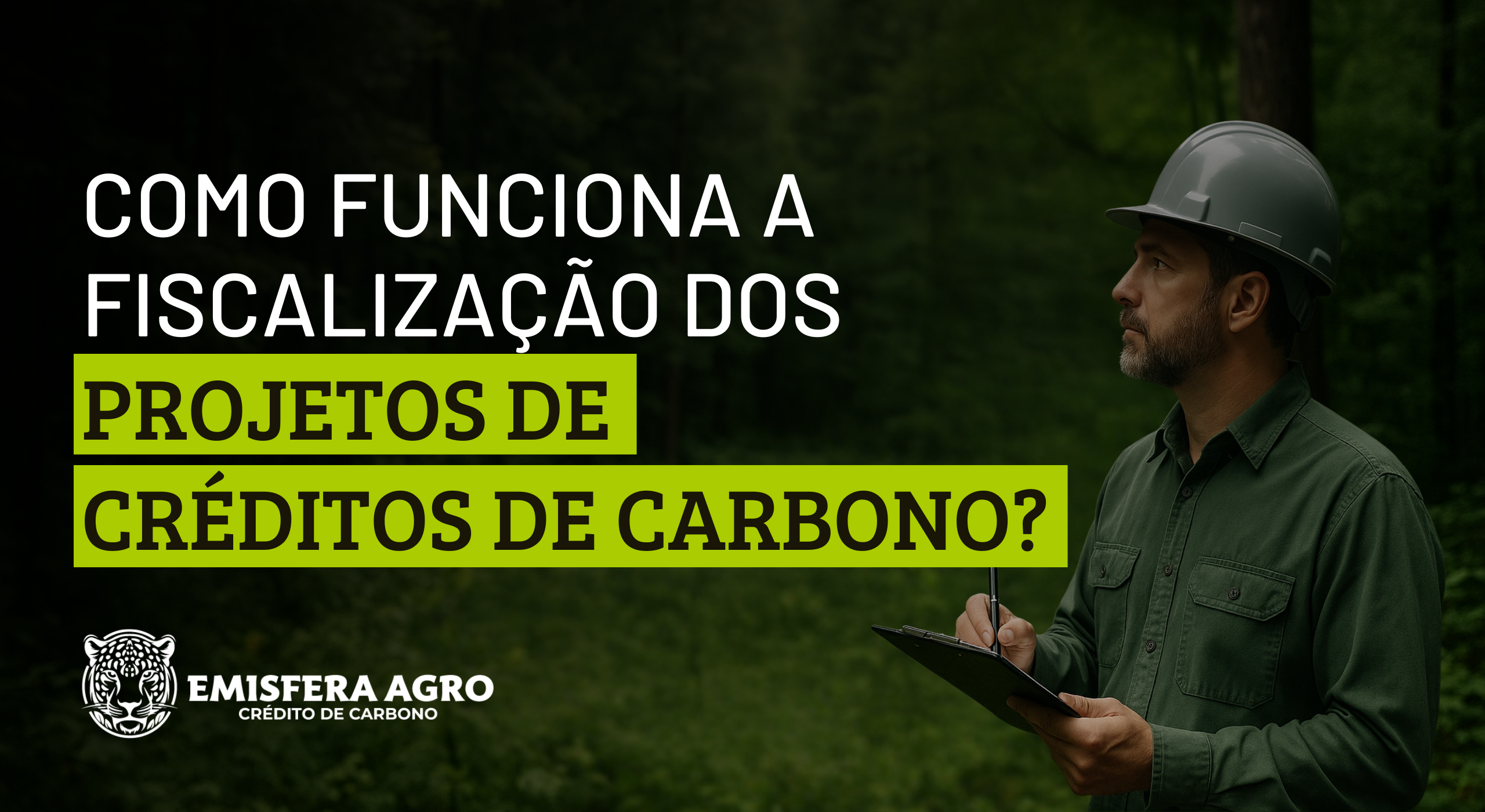 Como funciona a fiscalização dos projetos de Créditos de Carbono?