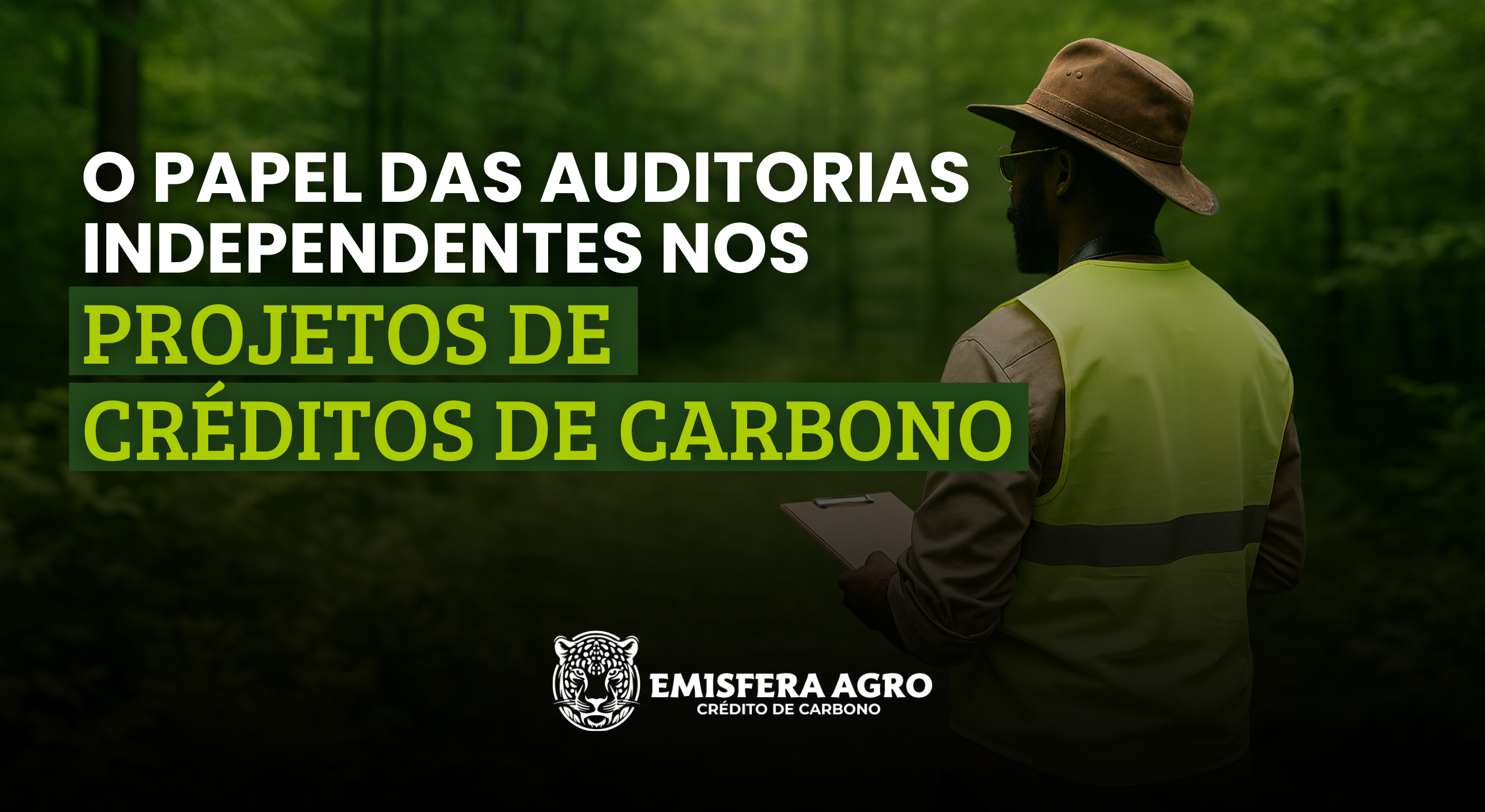 O papel das auditorias independentes nos projetos de Créditos de Carbono