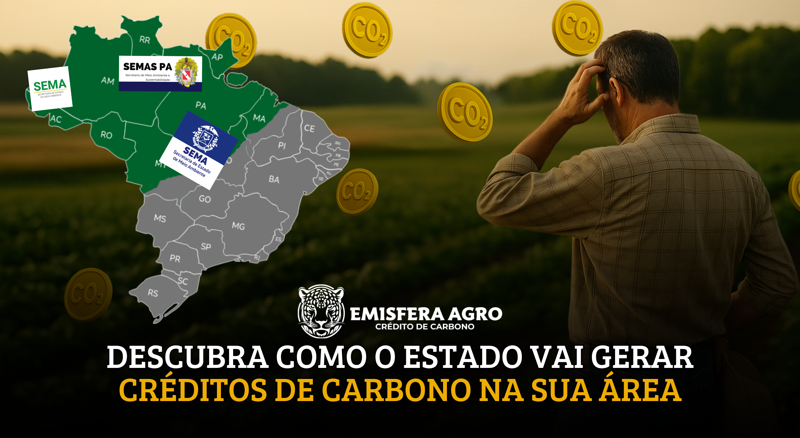 Descubra como o Estado vai gerar Créditos de Carbono na SUA área — REDD Jurisdicional