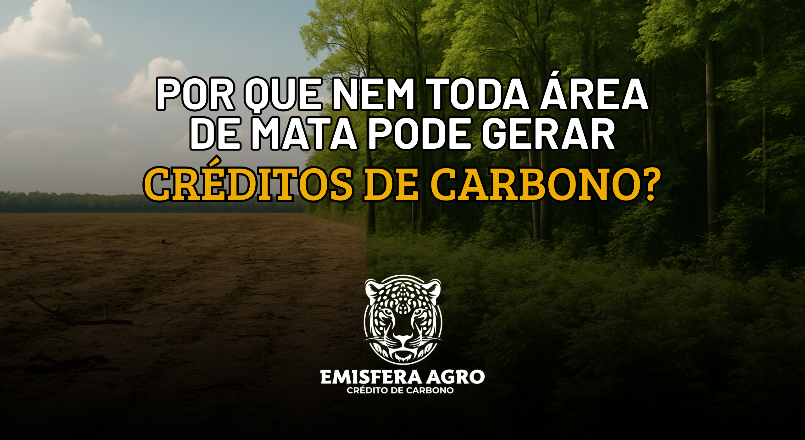 Por que nem toda área de mata pode gerar Créditos de Carbono?