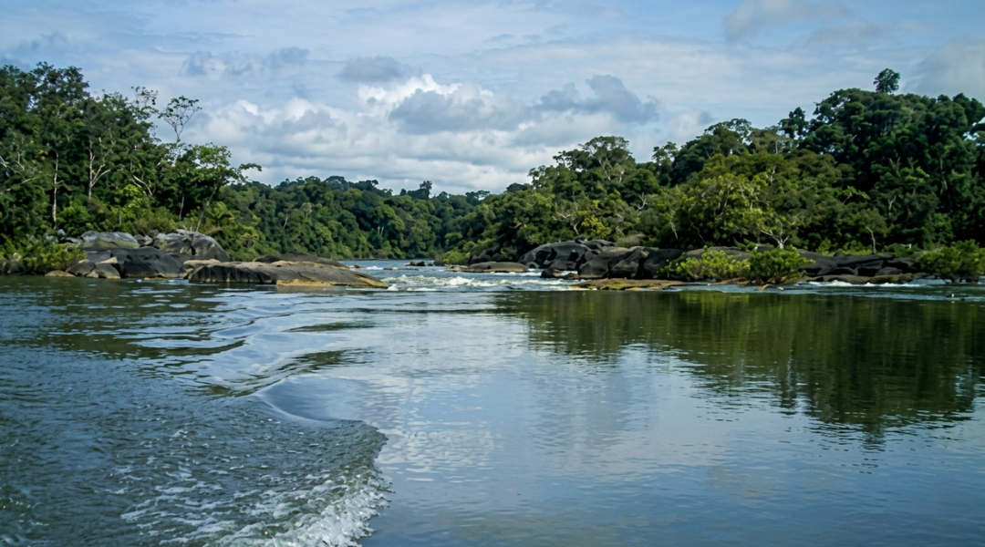 Projeto REDD Vale do Rio Apiacás