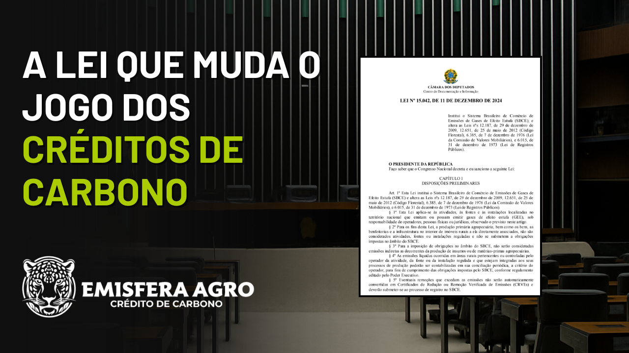 Mercado Regulado de Carbono Brasileiro: por dentro da Lei 15.042