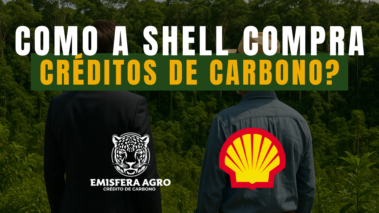 Como a Shell compra Créditos de Carbono?