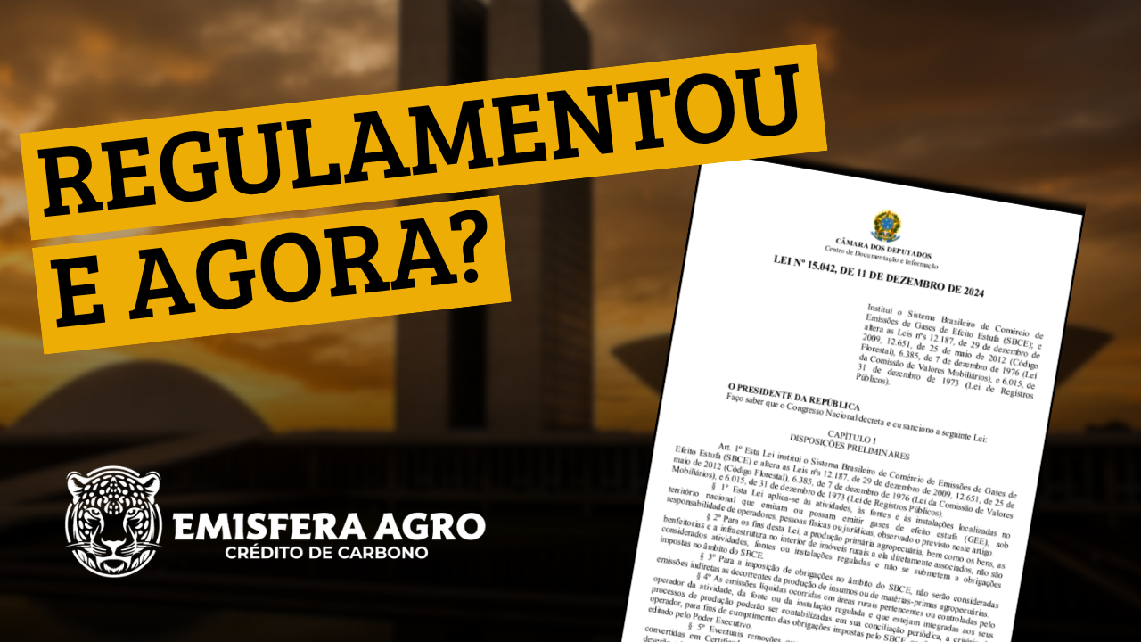 A Regulamentação do Mercado de Crédito de Carbono Brasileiro