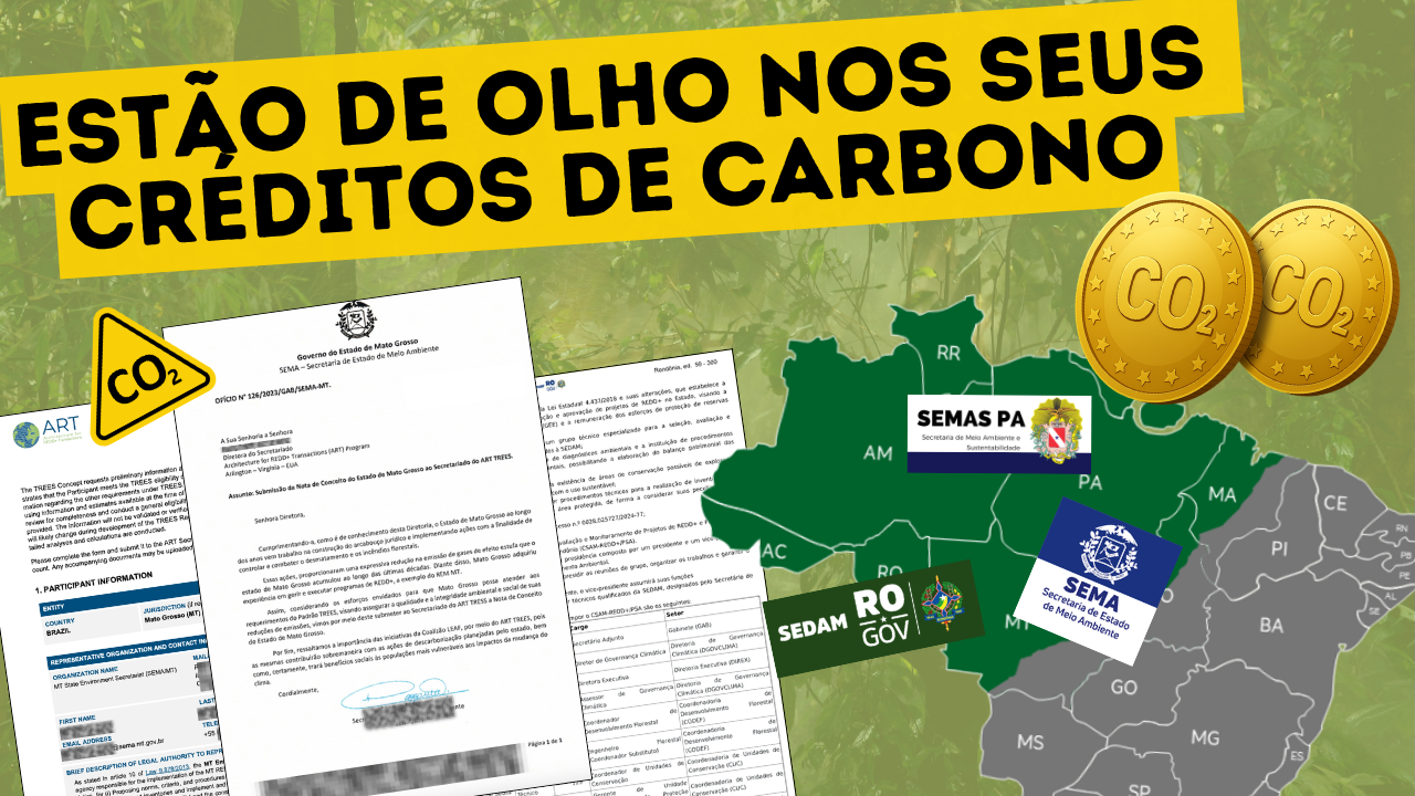 Como o Estado vai vender os Créditos de Carbono da sua fazenda