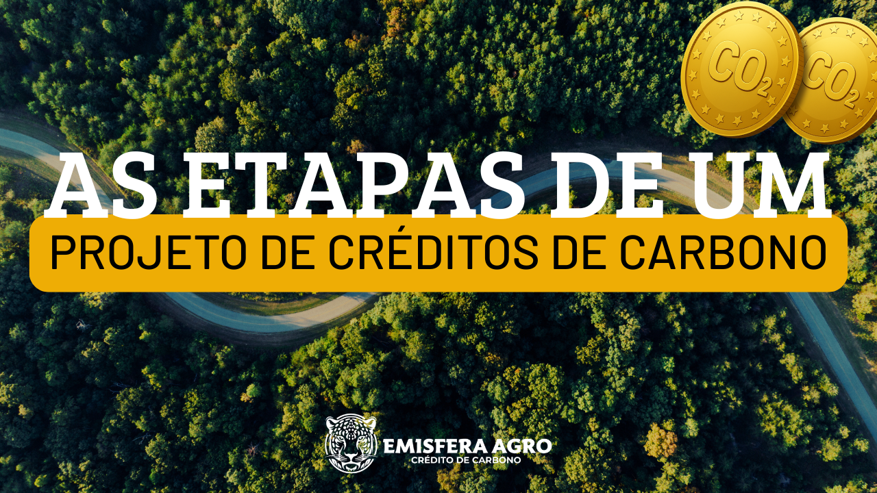 Quais são as etapas para gerar créditos de carbono?