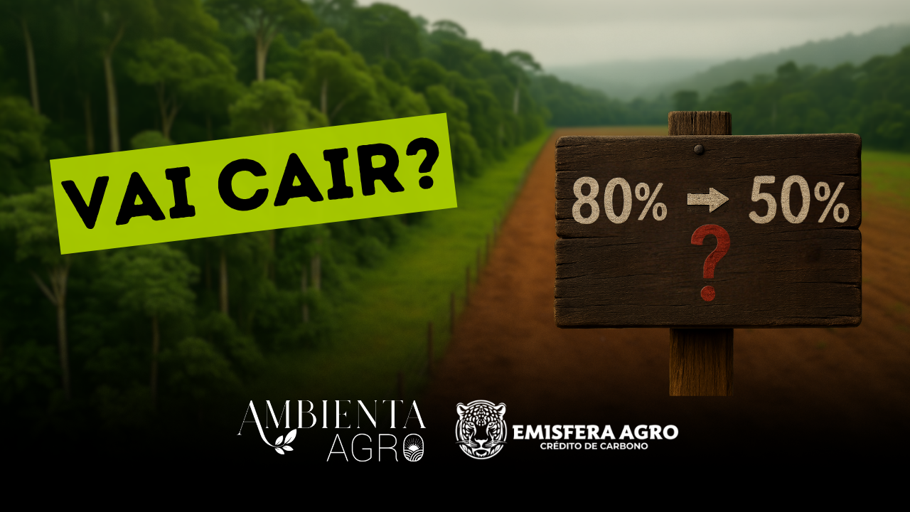 A Reserva Legal na Amazônia vai cair de 80% para 50%?
