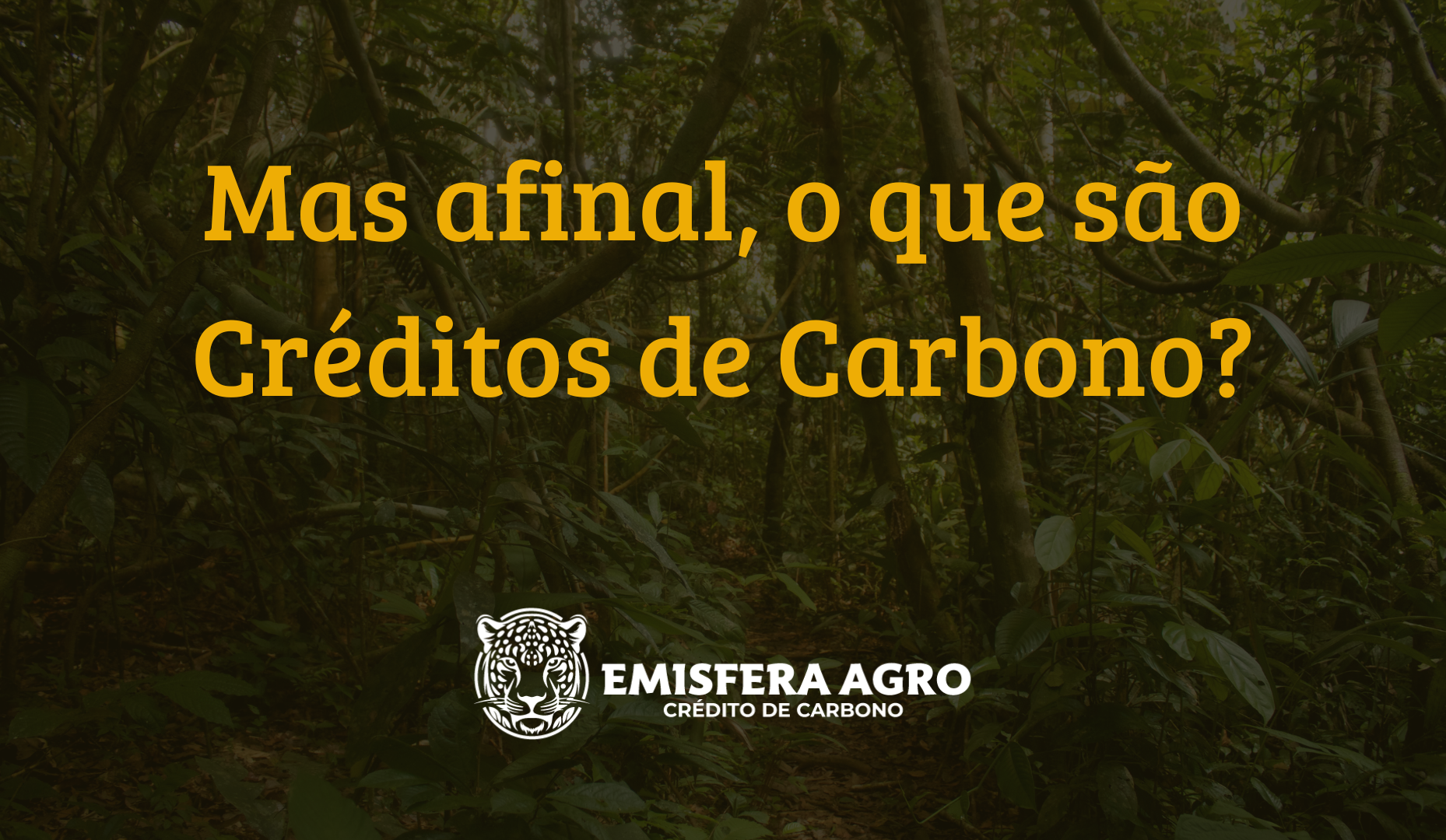 Mas afinal, o que são Créditos de Carbono?
