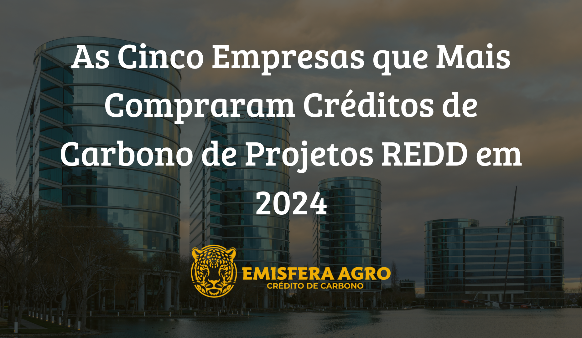As Cinco Empresas que Mais Compram Créditos de Carbono VERRA de Projetos REDD em 2024