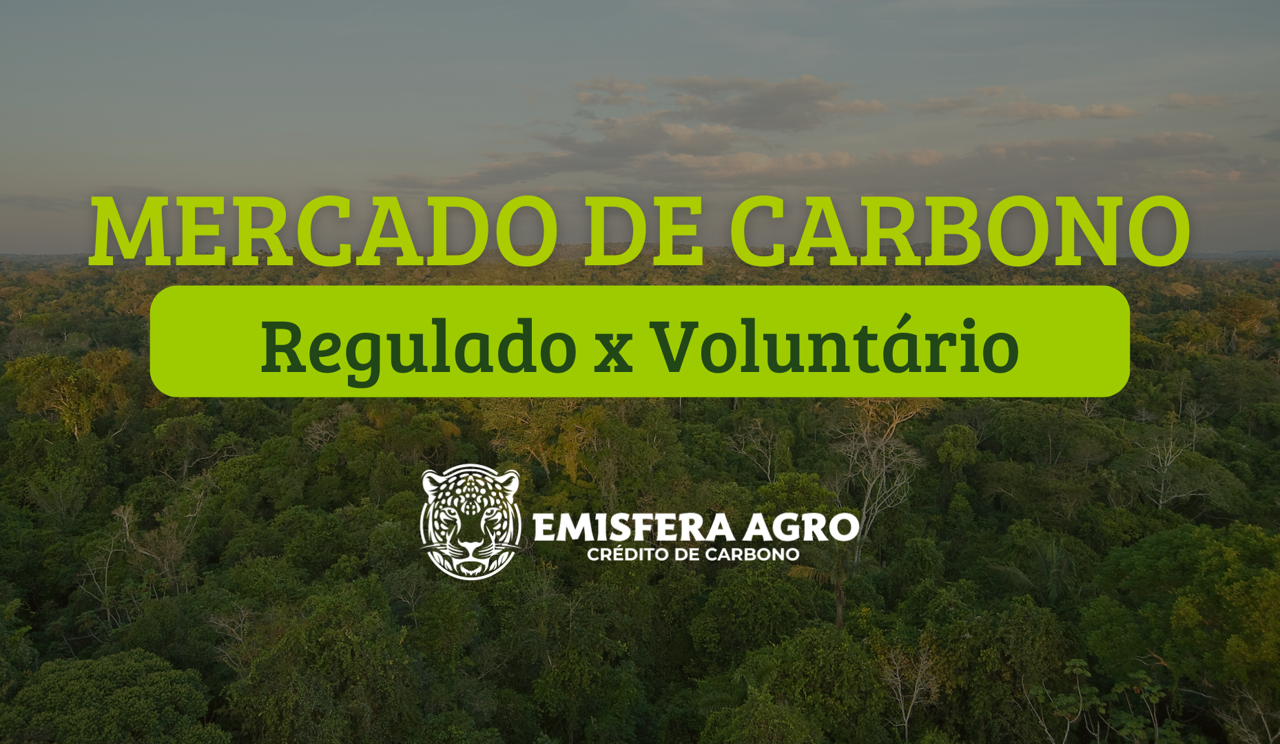 Mercado Voluntário e Mercado Regulado de Créditos de Carbono: conheça as diferenças