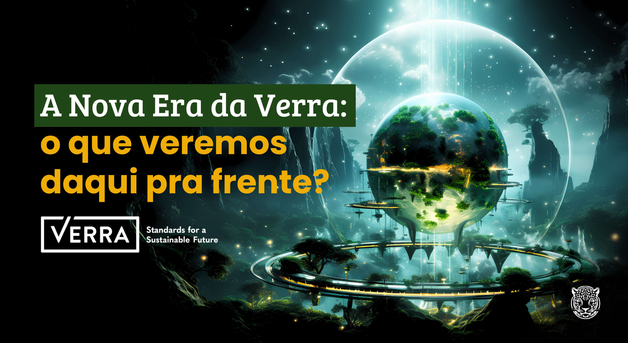 A Nova Era da Verra: o que veremos daqui pra frente?