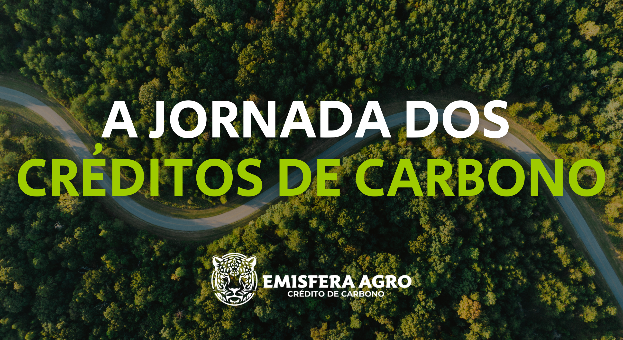 A Jornada dos Créditos de Carbono: o passo a passo