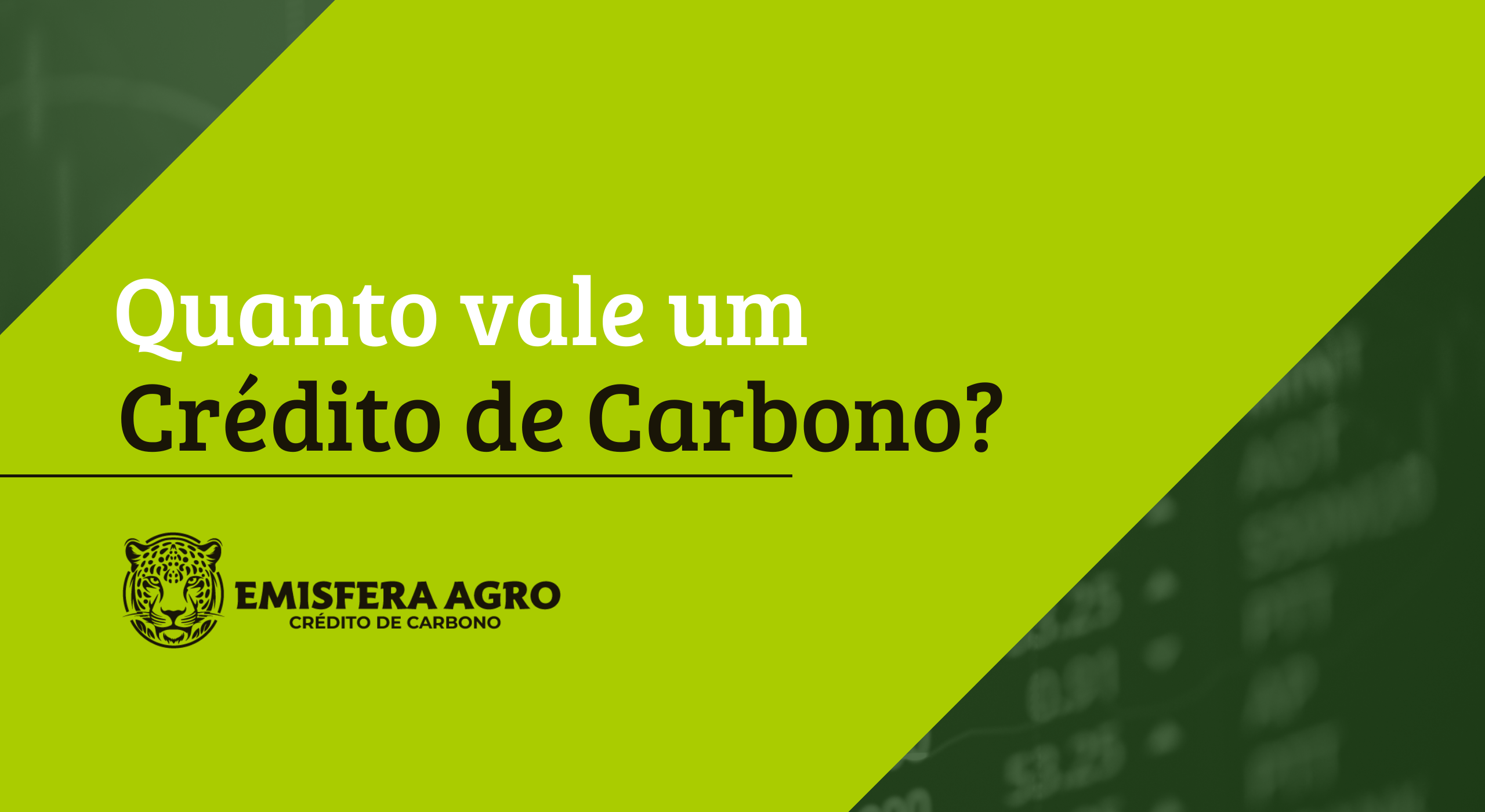 Quanto Vale um Crédito de Carbono?