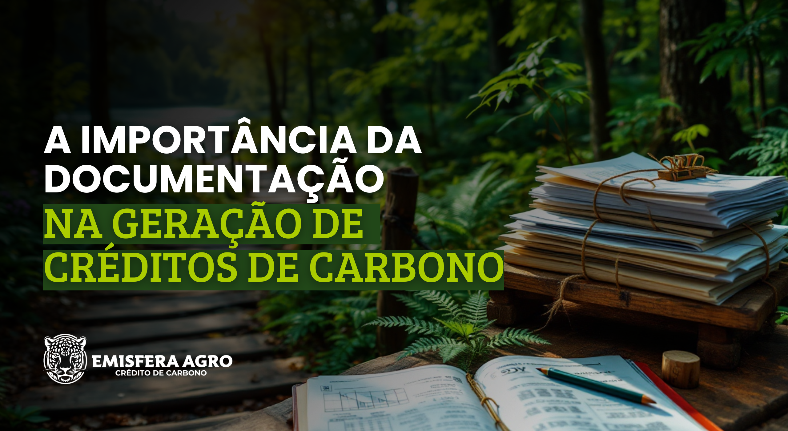 A Importância da Documentação na Geração de Créditos de Carbono
