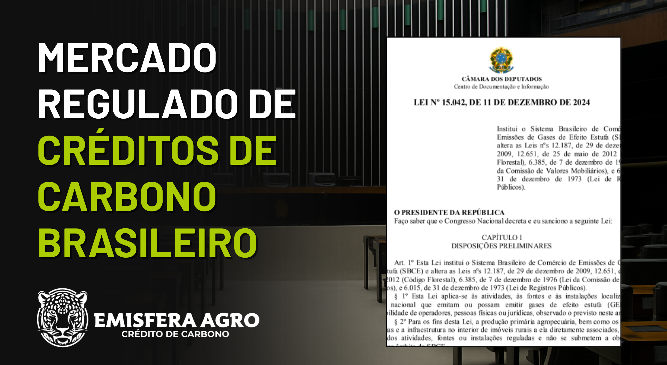 Mercado Regulamentado de Créditos de Carbono no Brasil: O Que Muda Para Quem Tem Floresta Preservada