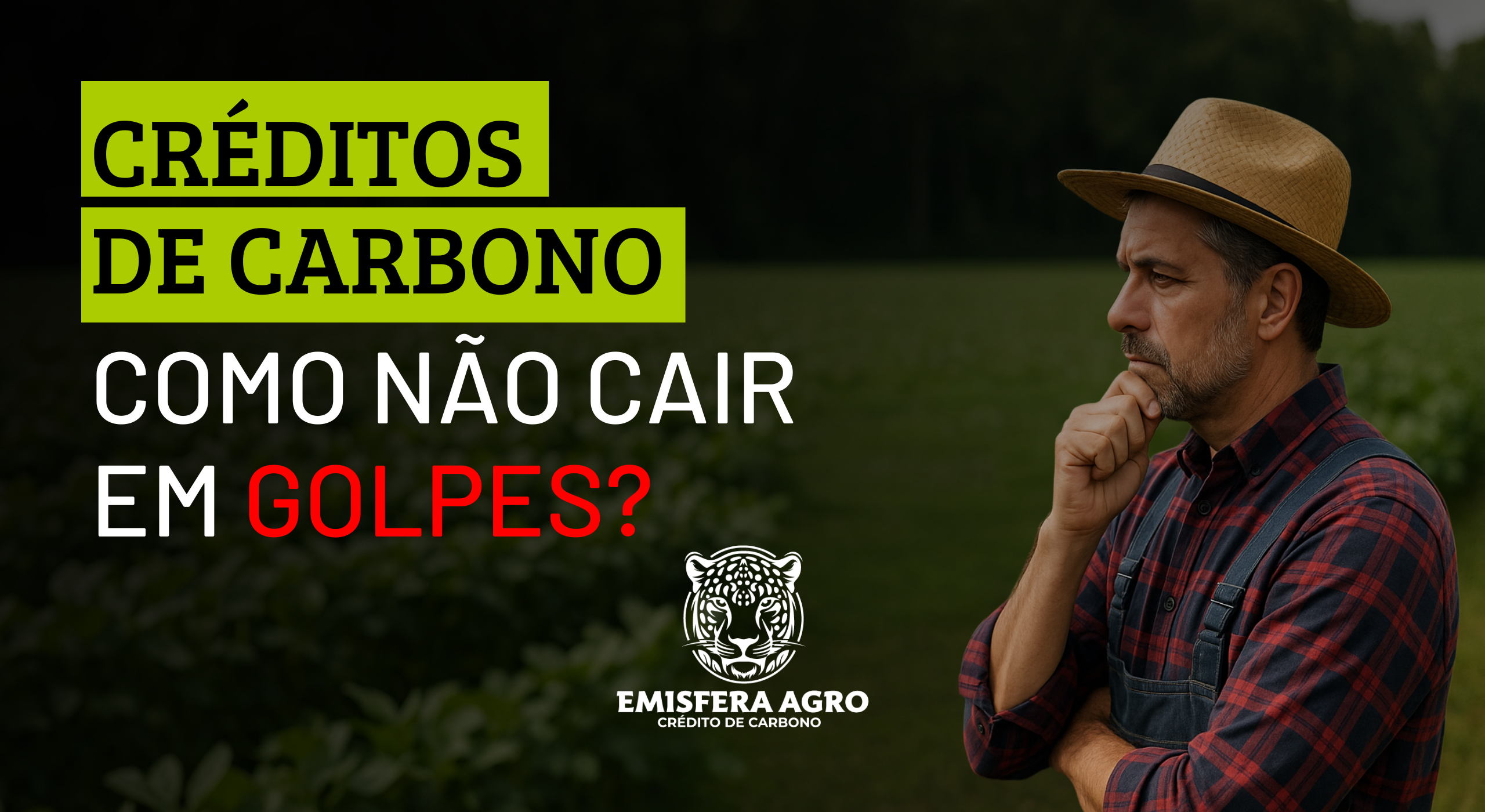 Créditos de Carbono: como não cair em golpes?