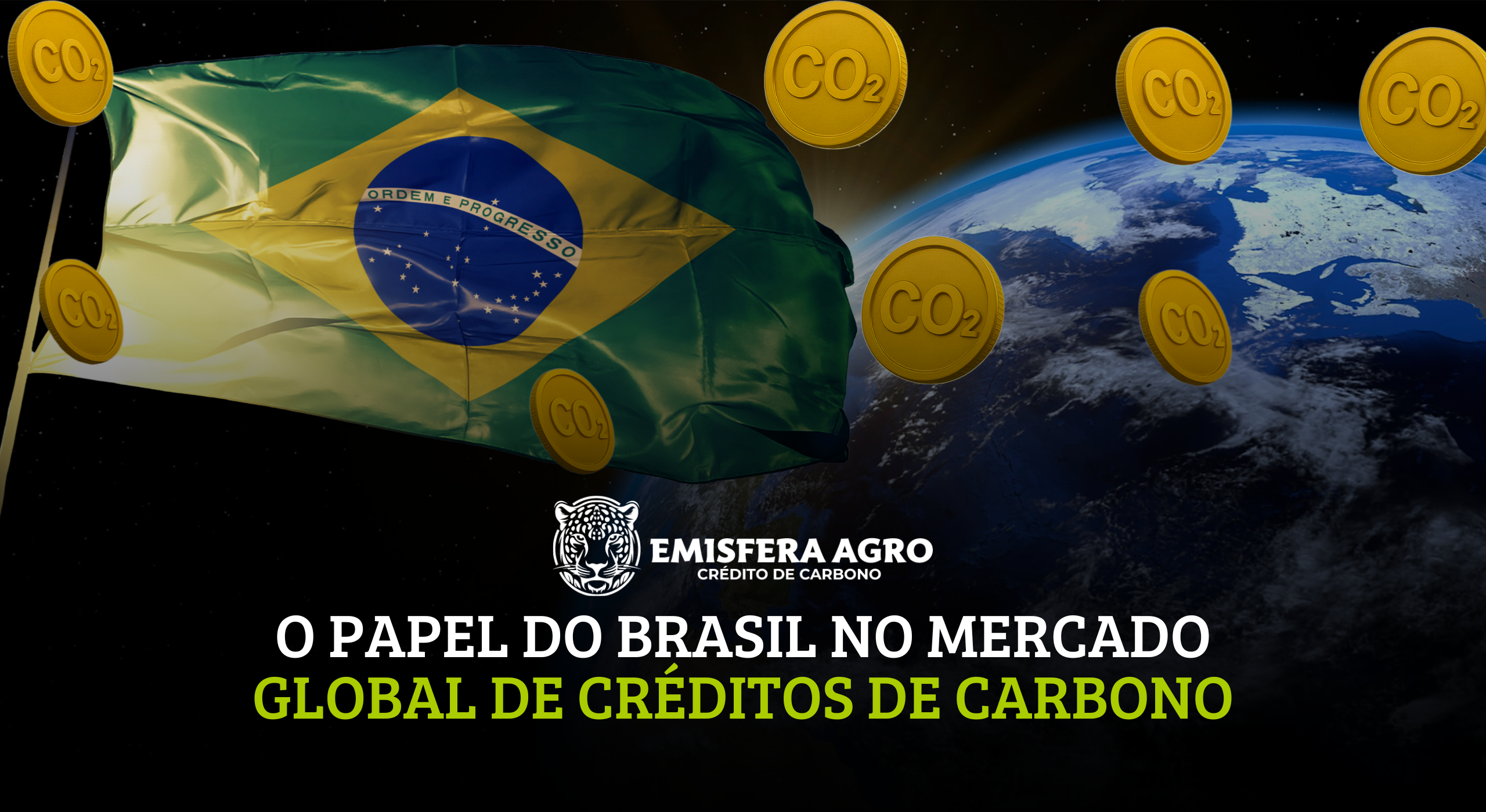 O papel do Brasil no mercado global de Créditos de Carbono