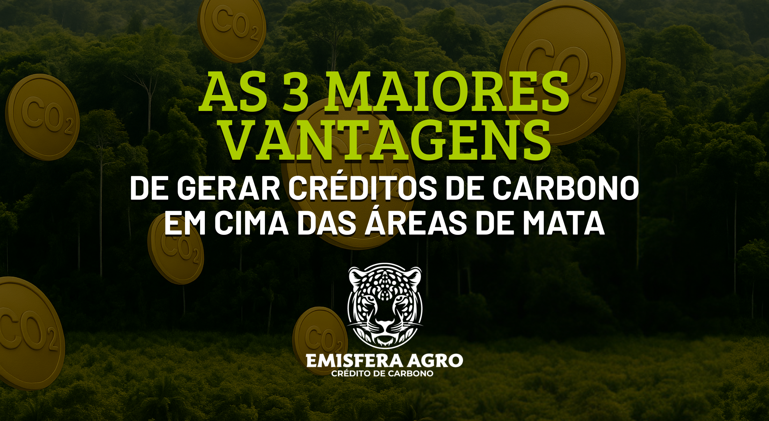 As 3 Maiores Vantagens de gerar Créditos de Carbono em cima das Áreas de Mata!